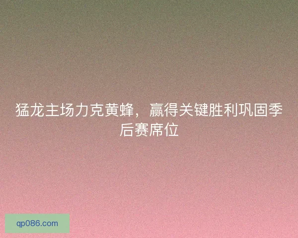 猛龙主场力克黄蜂，赢得关键胜利巩固季后赛席位